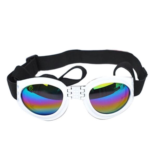 Pet Dog, Cat, Sunglasses, Glasses, Sun Glasses, Big Dog, Sun Visor, Pet Dog, Sunglasses - Image 6